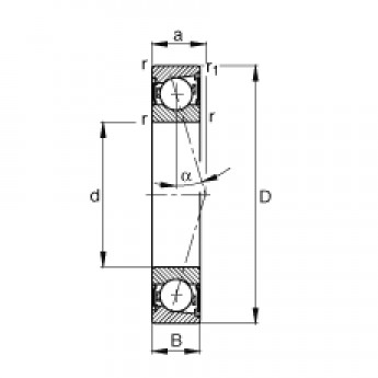 Шпиндельные подшипники B7006-C-2RSD-T-P4S FAG 189632 Шпиндельные подшипники B7006-C-2RSD-T-P4S FAG 189632